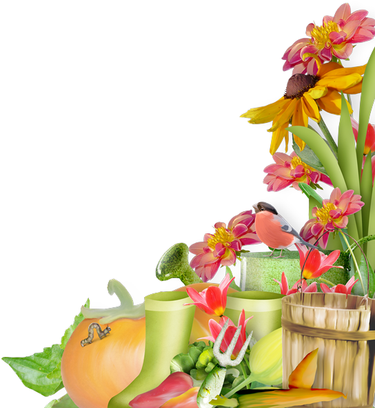 Coins Bordures - Page - Bordure De Page Fruit Et Légumes (544x600), Png Download