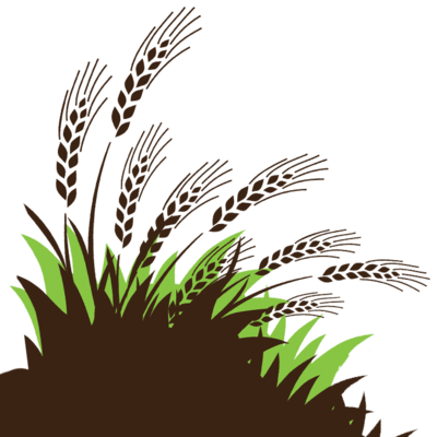 Download About Diatomaceousearth - Com - Americanchurch 981461 Offering ...