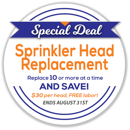 Schedule An Appointment - Zaporizhia (442x442), Png Download