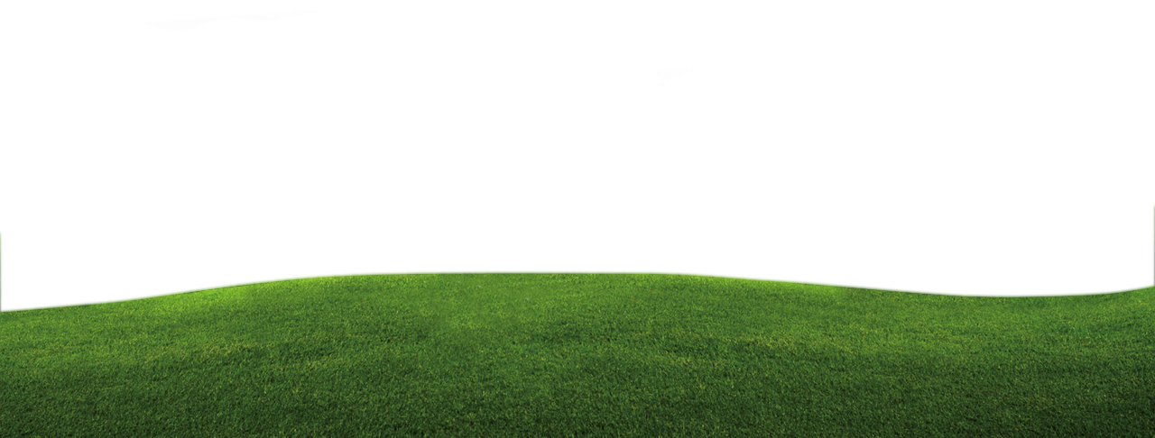 Good Day - Lawn (1280x486), Png Download
