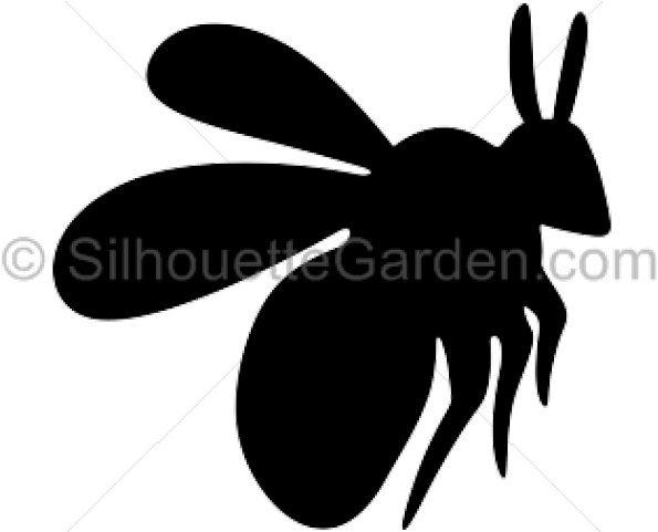 Bee Silhouette (640x480), Png Download