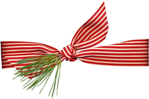 Cristmas Dividers - Insect (500x325), Png Download