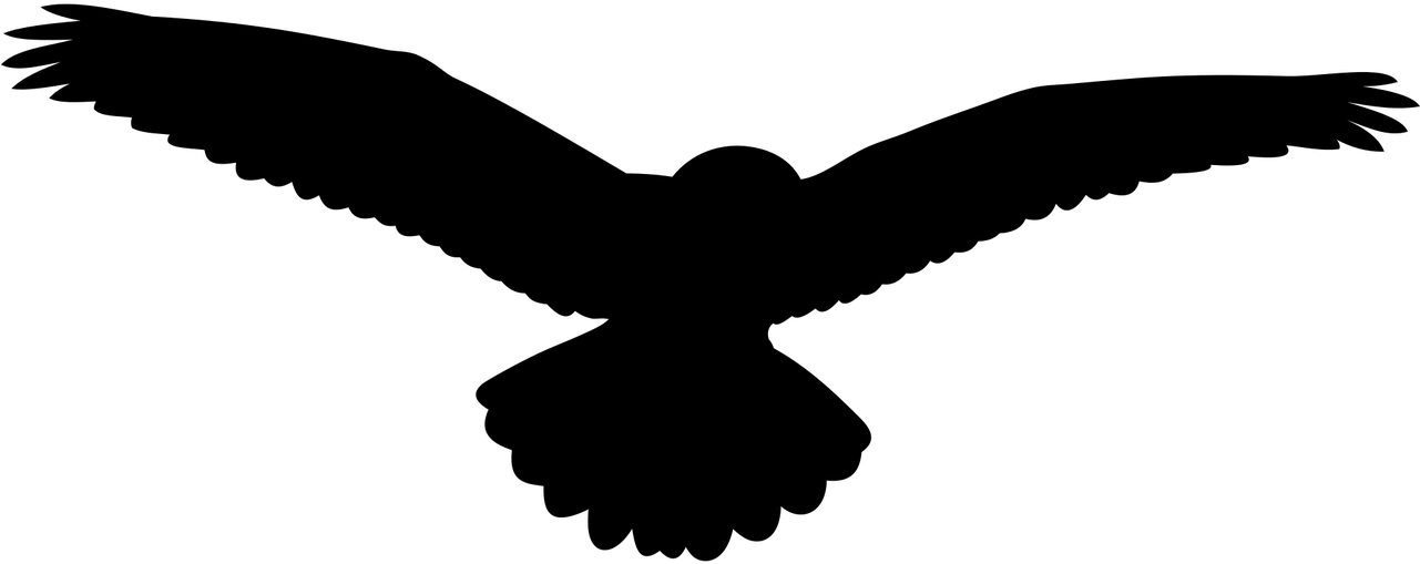 Birds,the Silhouette, - Stock.xchng (1280x640), Png Download