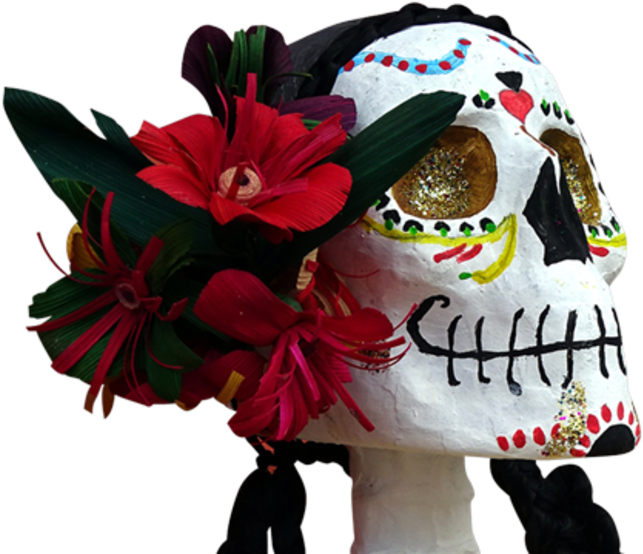 Cultural Groups Criticized People For Dressing Up As - Zazzle Schöne Und Stolze Dod-fleece-decke Fleecedecke (986x555), Png Download