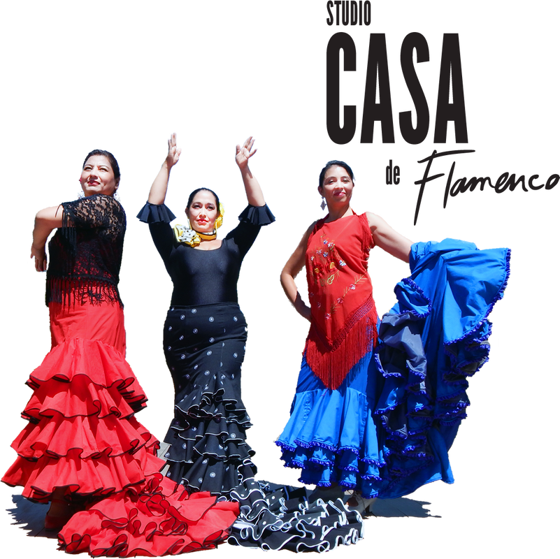 At Studio Casa De Flamenco - Flamenco (801x800), Png Download