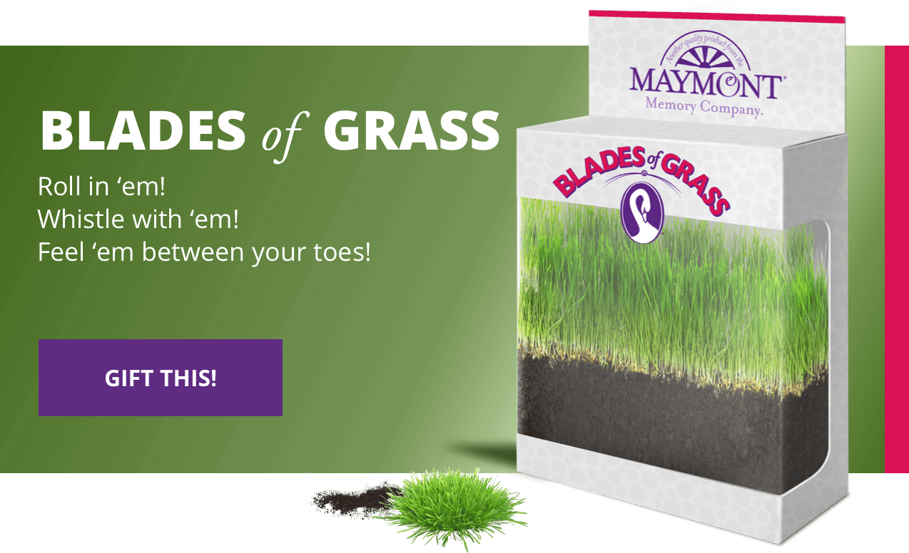 Blades Grass Cta Mobile - Vote Yes Transit Referendum (1274x776), Png Download