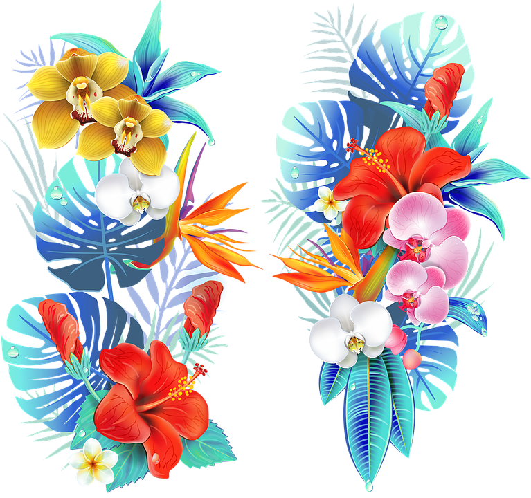 Tropical, Medellin, Flowers, Fair Of Flowers, Field - Fleurs Des Iles Dessin (767x720), Png Download