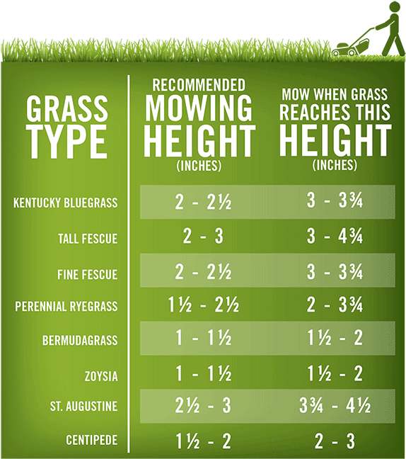 Grass Type Mowing Heights - Lawn Mowing Prices List (600x695), Png Download