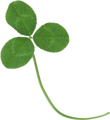 Clover Three Dark - Real Clover Transparent Background (400x400), Png Download