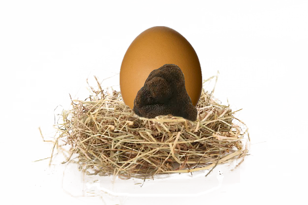 Huevo Trufado Sobre Nido Paja - Egg (626x417), Png Download