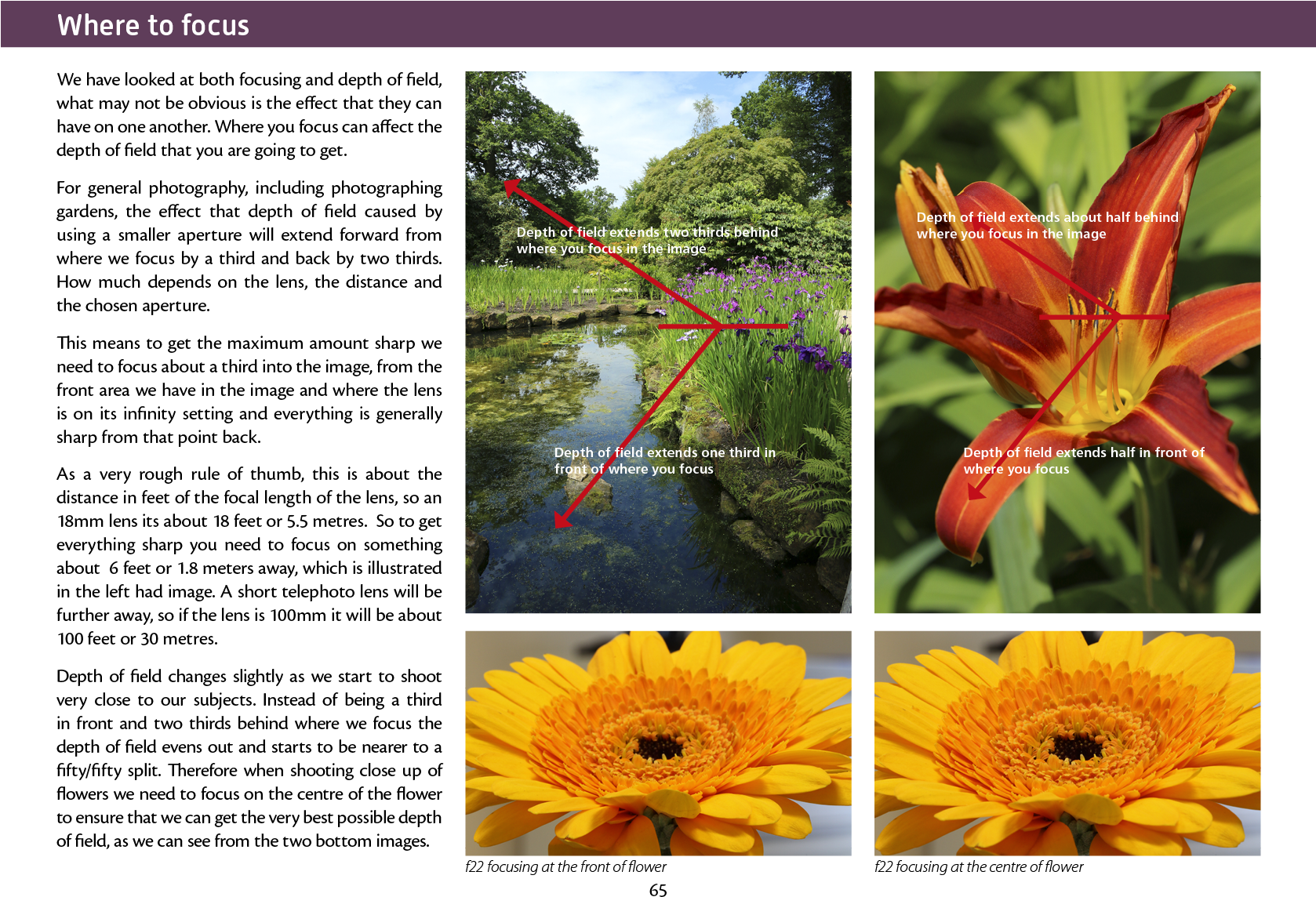 Joomla Plugins - Sunflower (1677x1240), Png Download