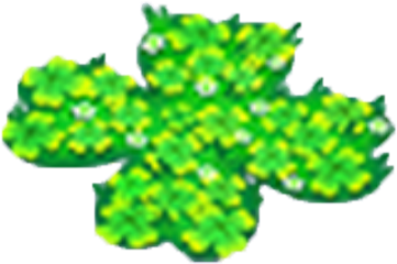 Clover Fields - Bead (383x383), Png Download