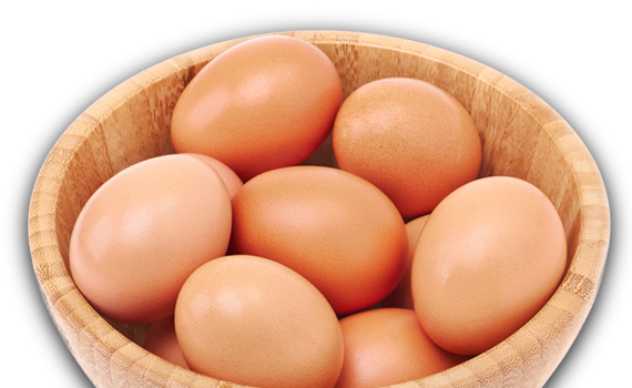 Egg (570x350), Png Download