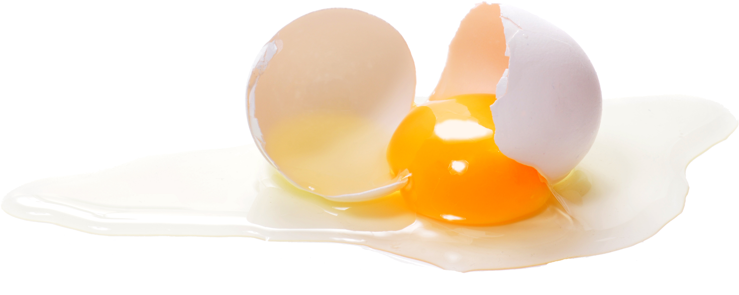 Innovation Foods 360 - Still Life Photography (1583x755), Png Download