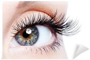 Beauty Female Eye With Curl Long False Eyelashes Wall - Organic Castor Oil By Sky Organics (400x400), Png Download