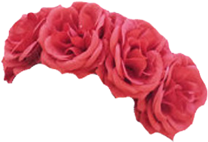 Flower Crown Photo Editor - Roses Flower Crown Png (400x400), Png Download
