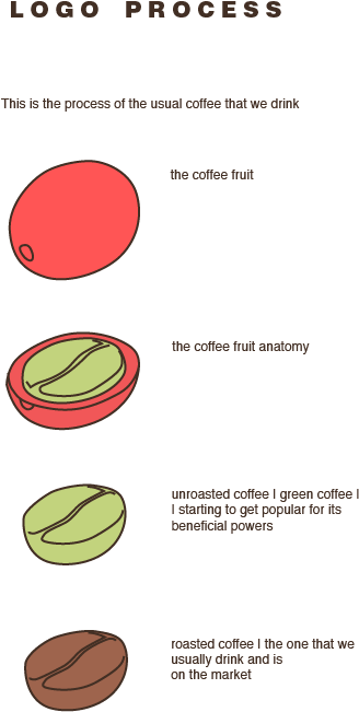 The Plan Of The Coffee Fruit, Starting From The More - Anatomy Of Coffee Fruit (596x842), Png Download