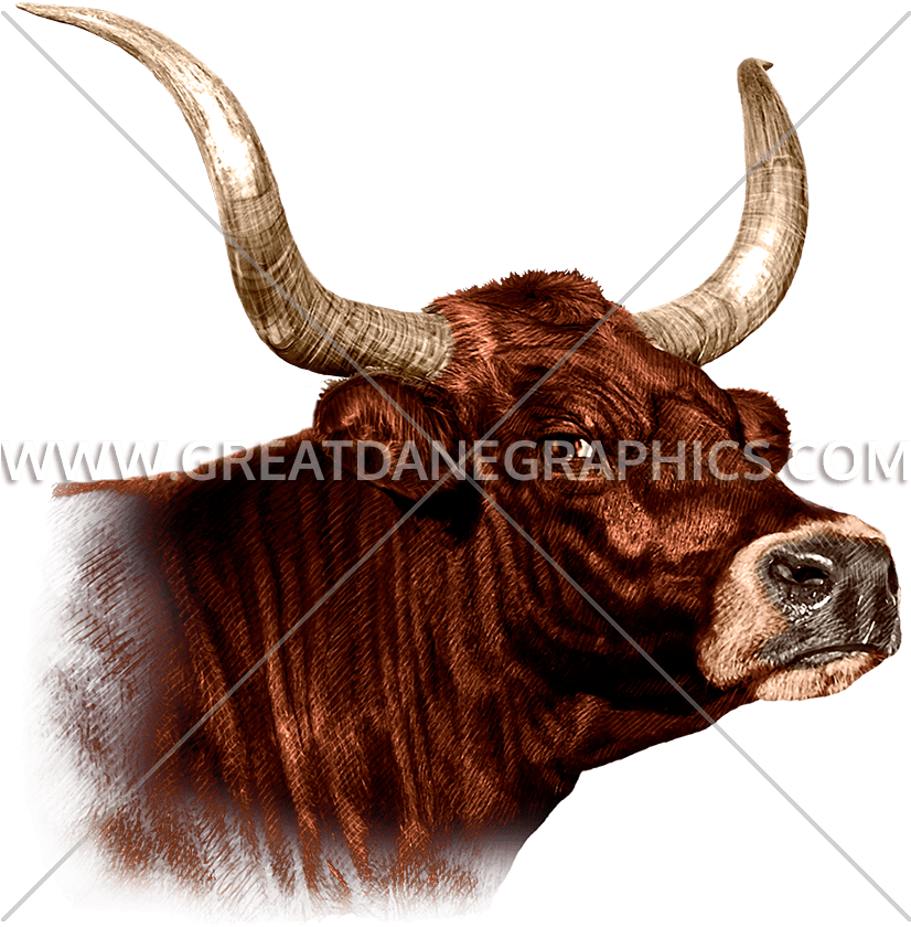 Bull (825x857), Png Download