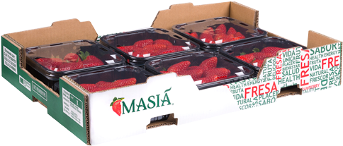 Fresas-003 - Carton (500x249), Png Download