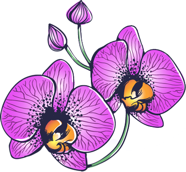 Orchid Flowers Decal - Orquideas Dibujo Png (374x347), Png Download