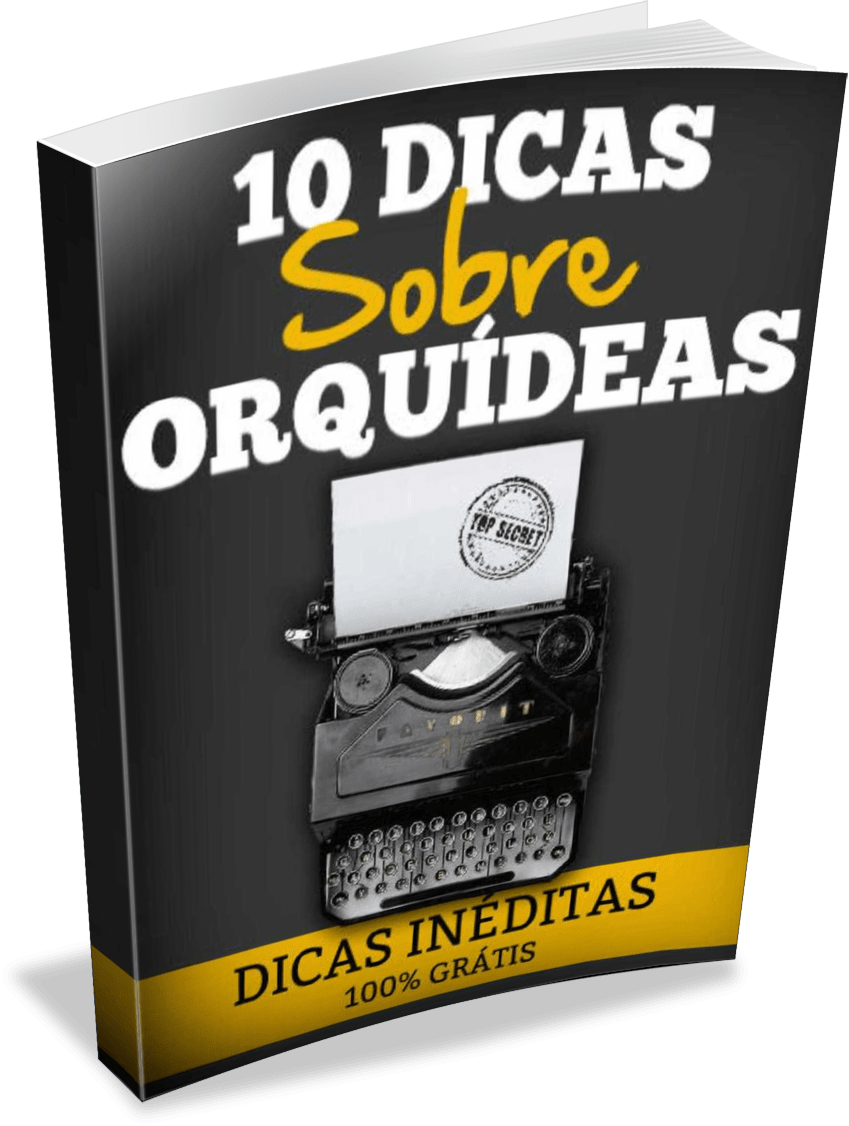 10 Dicas Sobre Orquídeas Bônus No Final Guia Definitivo - 10 Minutter I Vor Tid, Leif Davidsen, Lindhardt Og (849x1126), Png Download