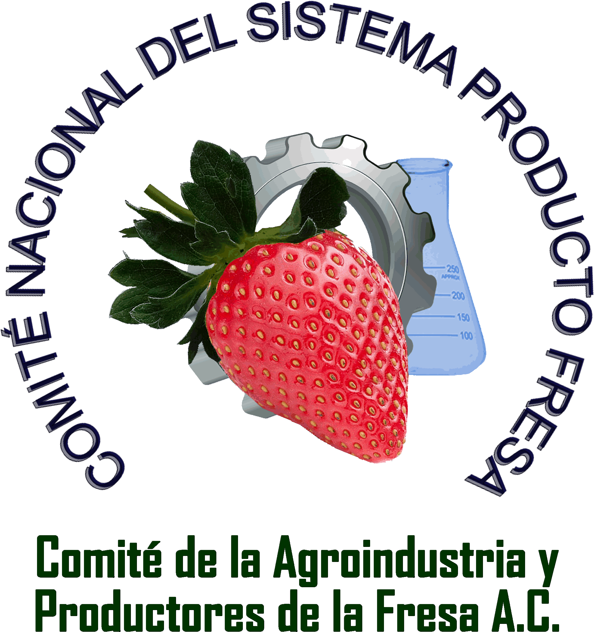 Consejo Nacional De La Fresa A - Baja California (2000x2200), Png Download