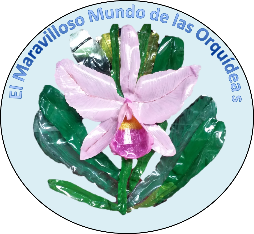 Semillero El Maravilloso Mundo De Las Orquideas - Innovation (1067x984), Png Download
