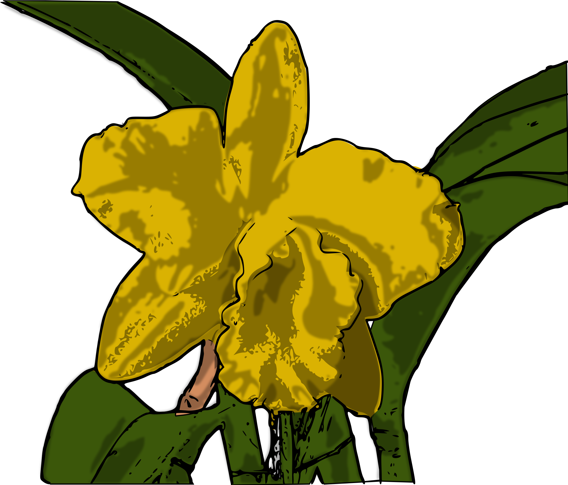 Big Image - Orchids (2400x1982), Png Download