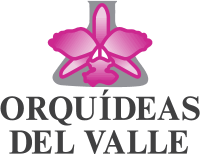 Orquideas Del Valle (400x362), Png Download