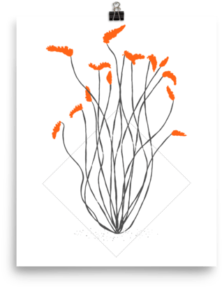 “ocotillo” Print - Sonoran Desert (600x600), Png Download