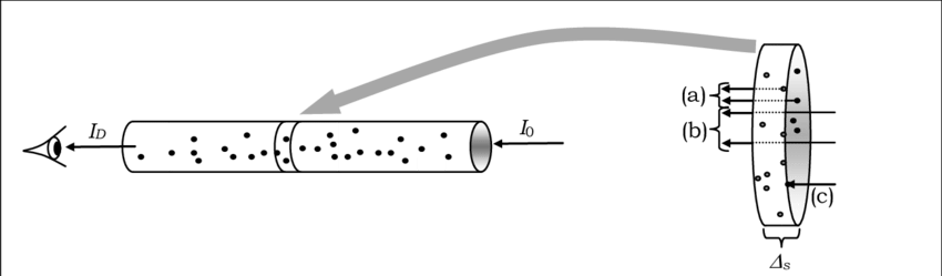 Los Rayos Etiquetados Con - Rifle (850x249), Png Download