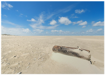 Photograph (400x400), Png Download