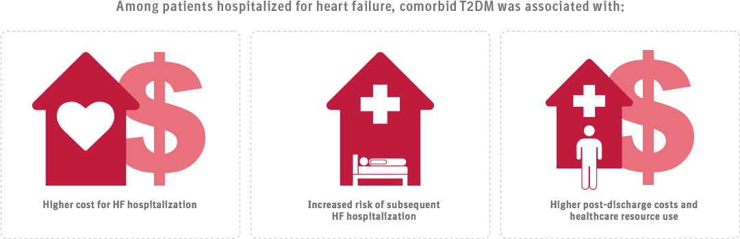 Incremental Burden Of Type 2 Diabetes - Red (1112x348), Png Download