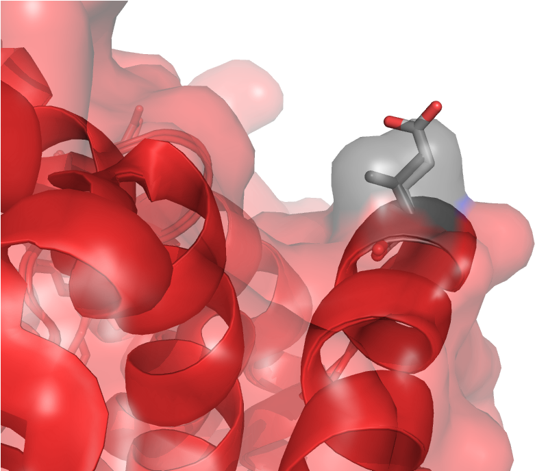 In The Beta Globin Chain - Illustration (1146x687), Png Download