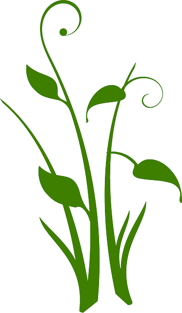 Florales En Vectores - Black Flower Silhouette Transparent (373x640), Png Download