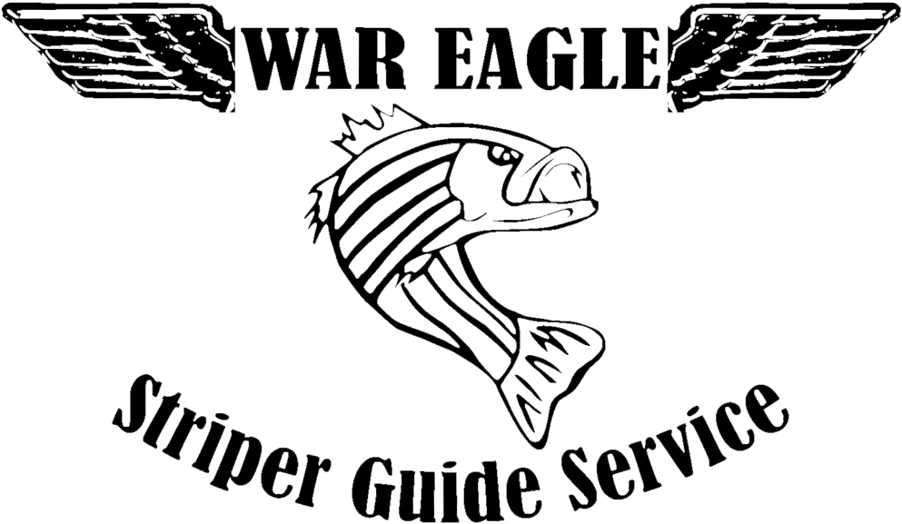 War Eagle Logo - Striped Bass (1000x582), Png Download