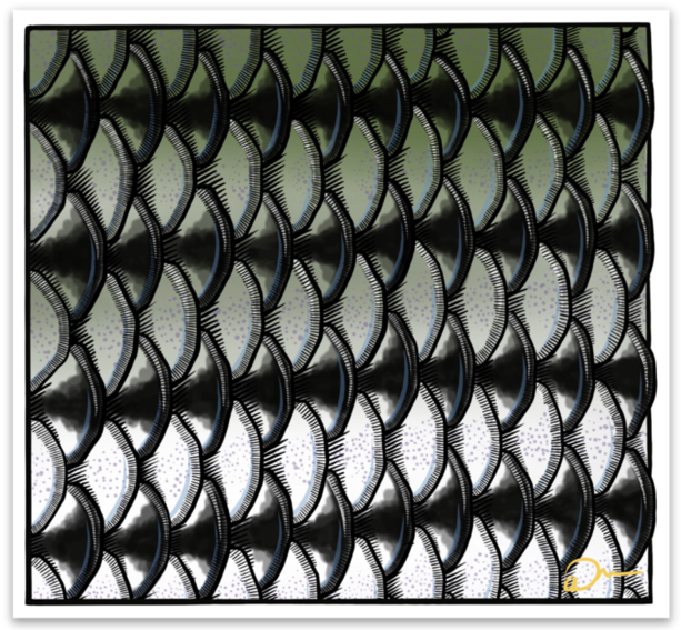 4" Striper Scales (1000x914), Png Download
