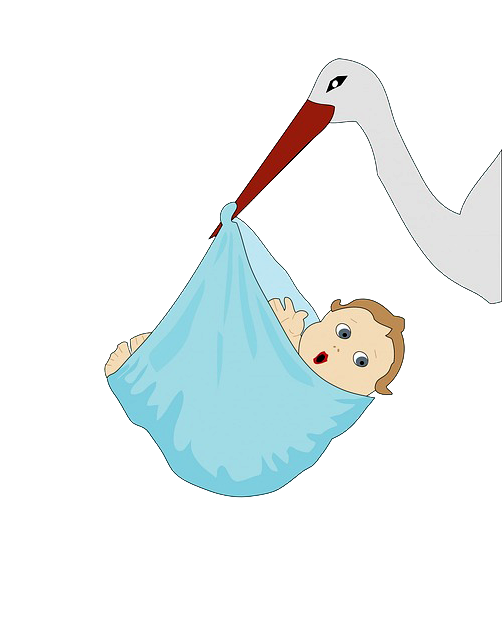 Bebê Na Cegonha Em Png - Congratulations/on Your Great Grandnephew/custom Card (501x640), Png Download