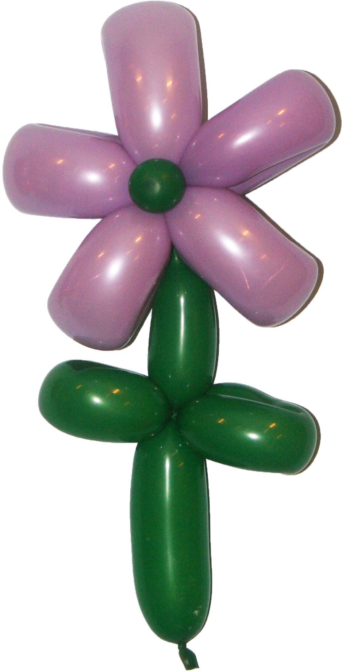 A 5 Petal Purple Balloon Flower From Buddy The Clown-www (1404x2263), Png Download
