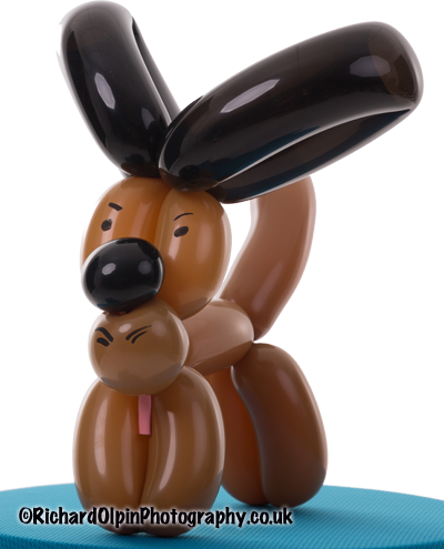 Balloon Models Dog - Balloon Modelling (400x495), Png Download