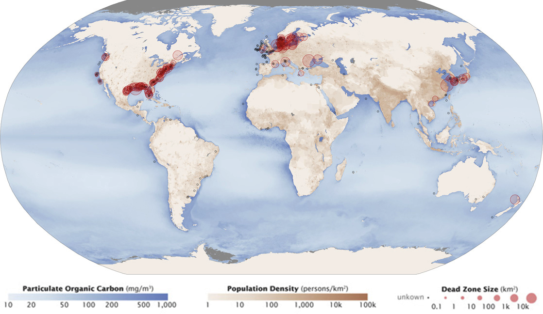 Ocean Dead Zones Map (1118x648), Png Download
