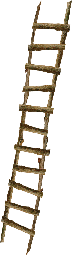Mq Ladder Brown Climbing Wood - Cartoon Wooden Ladder On Rope (240x841), Png Download