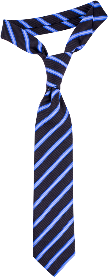 Brown With Blue And White Stripe Necktie - Stripe Necktie (640x1060), Png Download