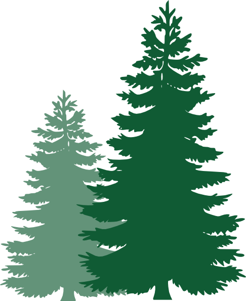 Pine Tree Vector Clipart - Christmas Tree Silhouette Png (486x595), Png Download