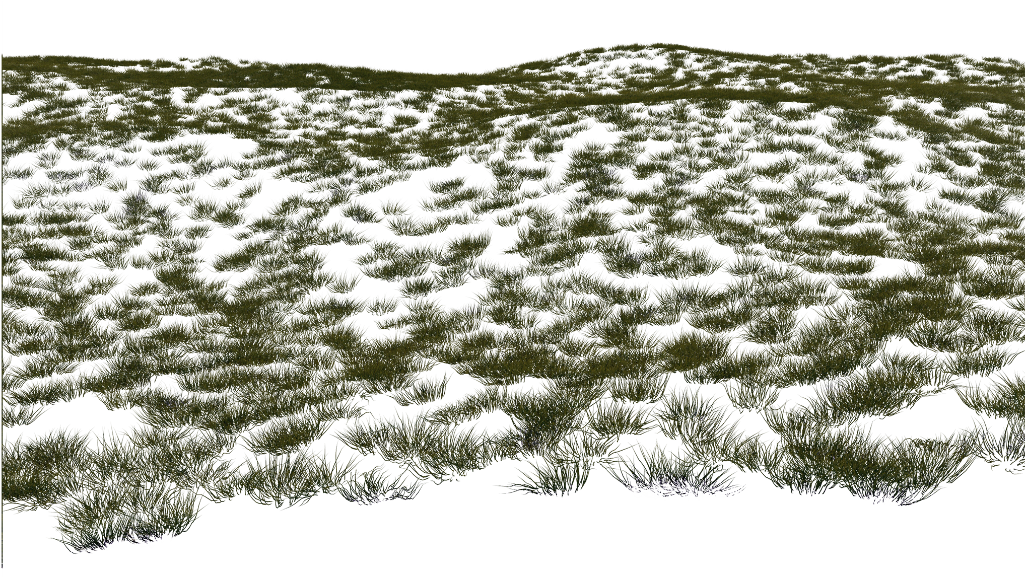 Grass B Flat 3 (for Permeable Ground Covers) - Snow (2035x1146), Png Download