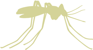 Mosquito Control - Mosquito Free Vector (500x500), Png Download