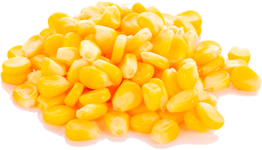 Maíz Para Ensilaje Y Grano - Sweetcorn Png (1000x608), Png Download
