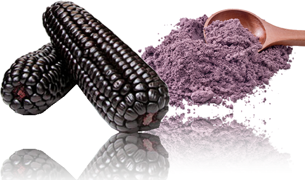 Harina De Maíz Morado - Harina De Maiz Morado (624x375), Png Download