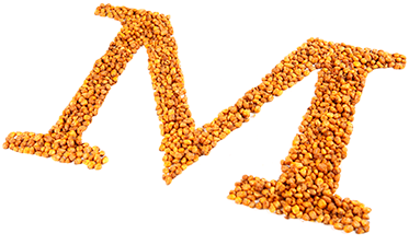Im1 - Maize (434x289), Png Download