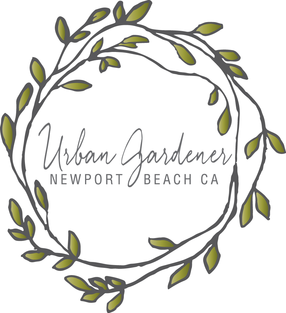 Newport Beach, Ca Florist - Urban Gardener (918x1006), Png Download